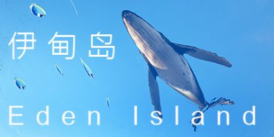 伊甸岛|官方中文|Eden Island